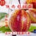 彩虹梨早香酥支持一件代发落地配市场专业对接电商价格便