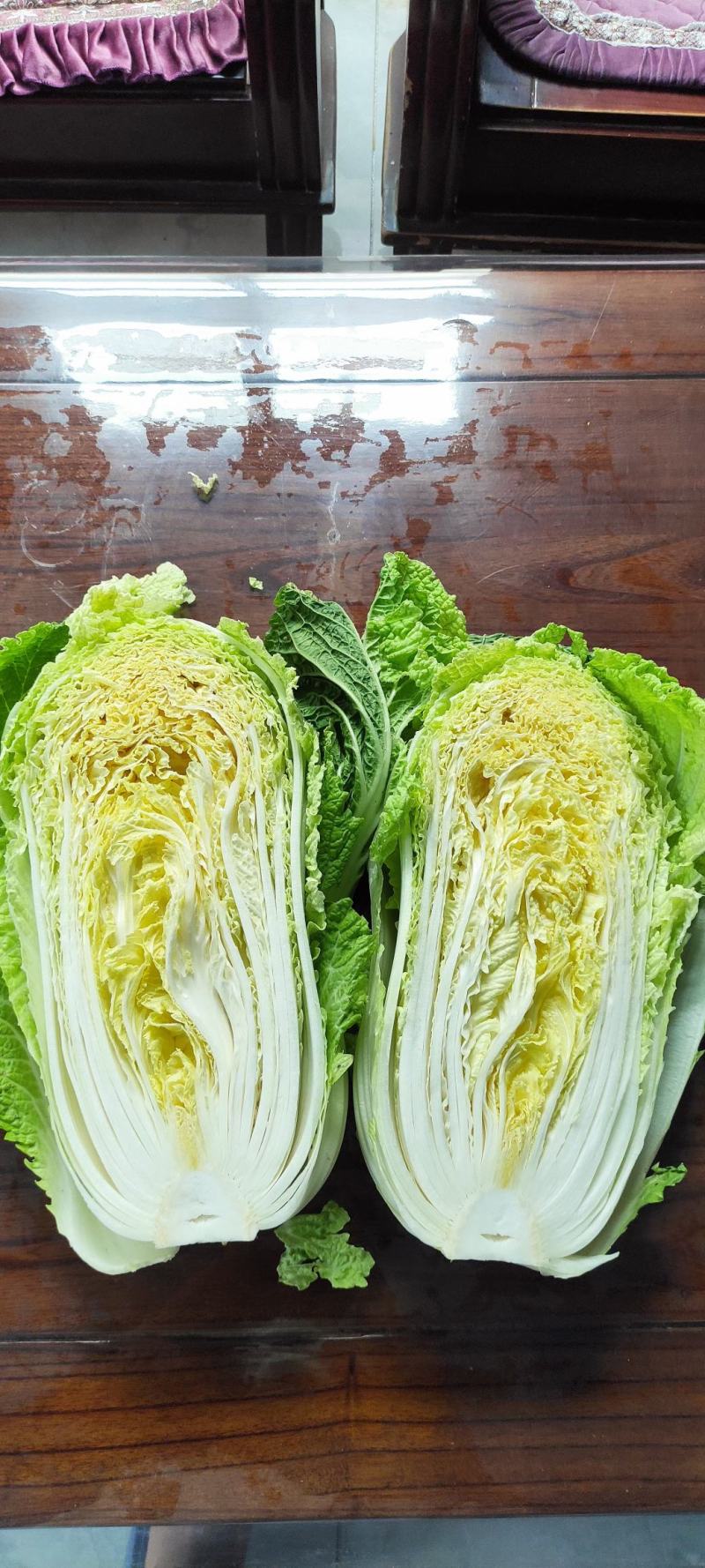 湖北宜昌黄心白菜产地直发一手货源批发品质保证价格便宜！！