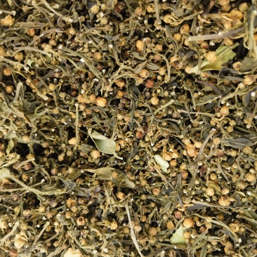 各种橙子花，