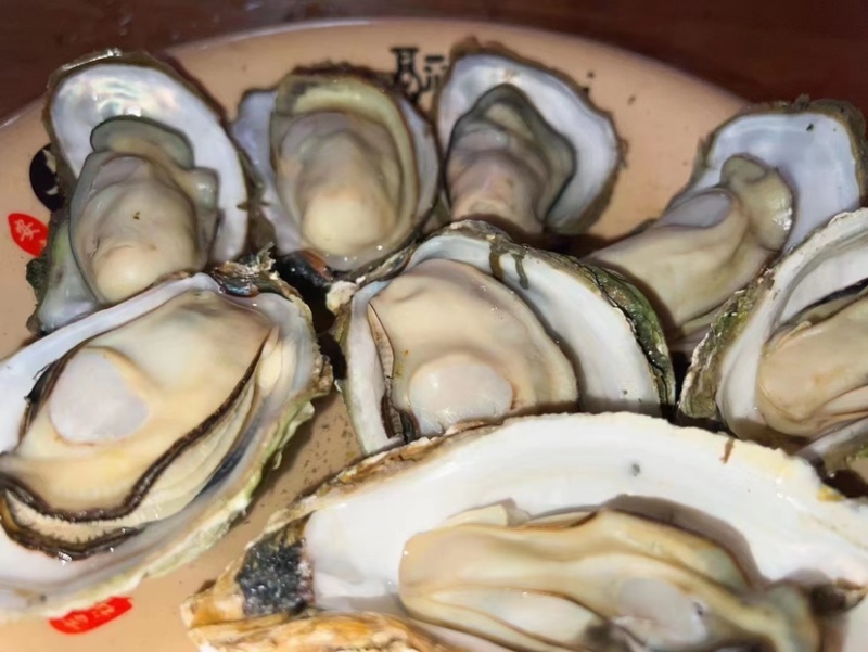 湛江生蚝🦪、货源充足、量大质优、可视频看货