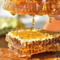 蜂蜜广东潮州野蜂蜜纯荔枝蜜无添加蜂农直销不寄样品骗子绕道