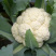河南开封通许精品菜花/松花菜产地直供一手货源品质保证