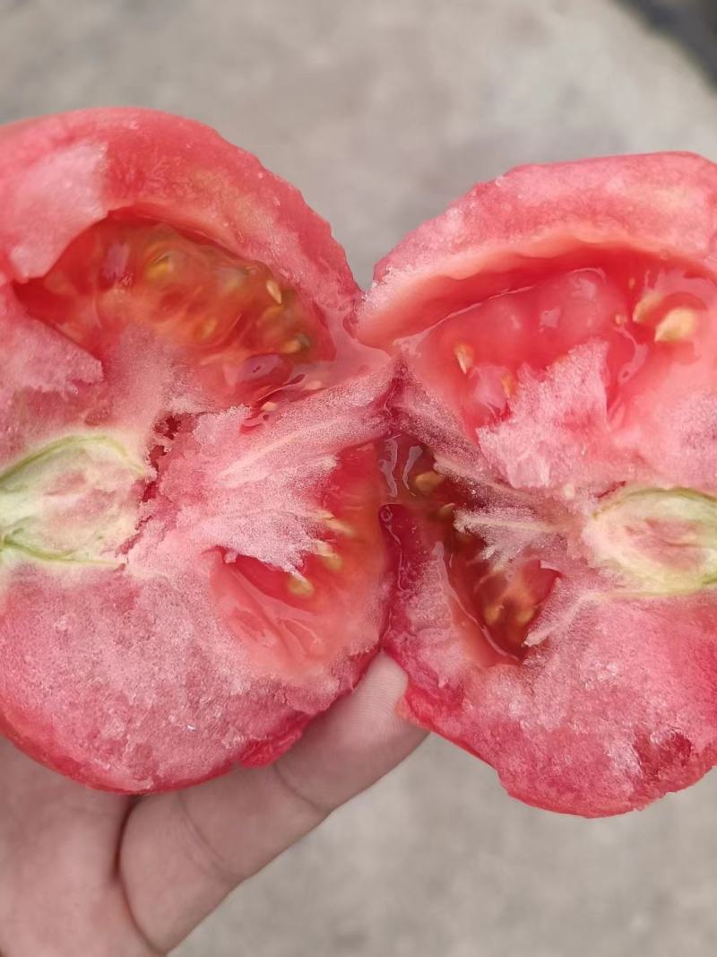 西红柿硬粉直供电商货超市精品，大量供应