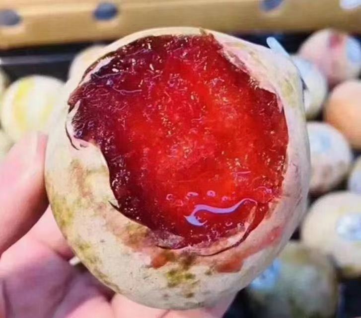 恐龙蛋李子加工与包装展示