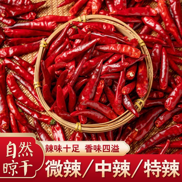 【精品】北京红精品干辣椒大量供应，颜色好，亮度好，大量现货