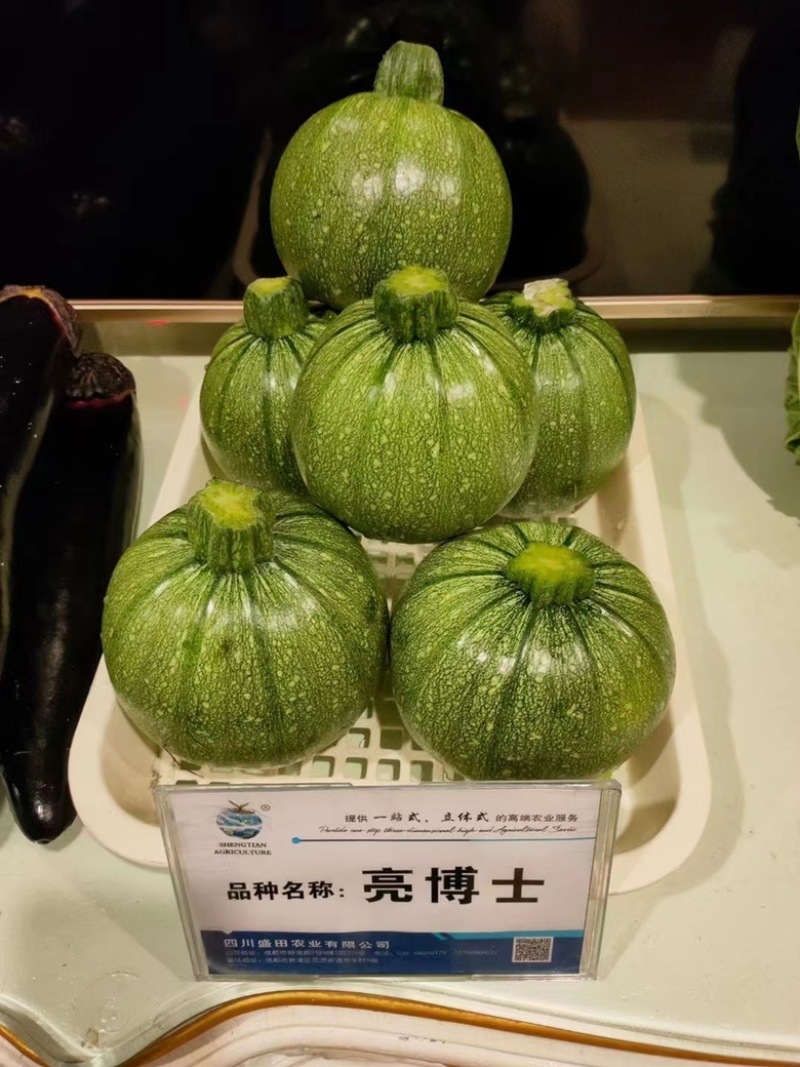 亮博士圆西葫芦籽早熟品种花皮小瓜品种种子