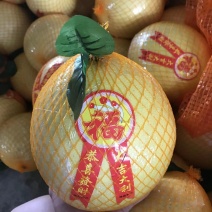 【热卖推荐】梅州红心柚蜜柚大量供应保质保量可视频看货电联