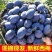 汶川女神西梅大量上市支持一件代发商超社区团购