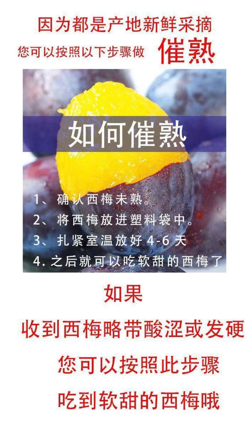 汶川女神西梅大量上市支持一件代发商超社区团购