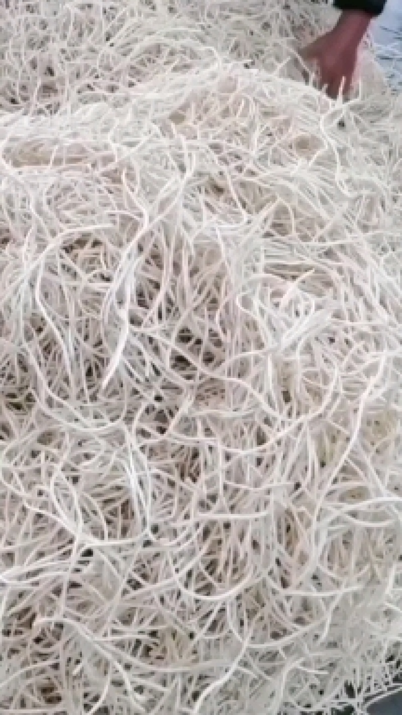 新品鱼腥草上市量大优惠机器洗统货