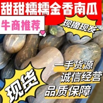 金香南瓜千亩种植基地，产地直发，可视频看货，诚信经营