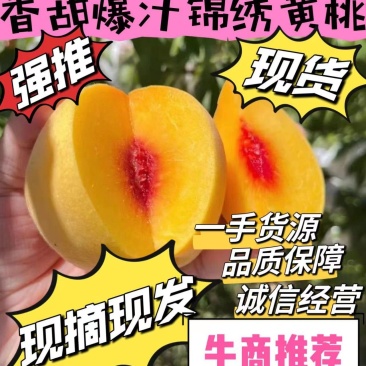 南阳黄桃大量上市锦绣黄桃西尾金货源充足，保证质量