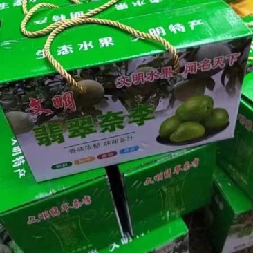 翡翠李