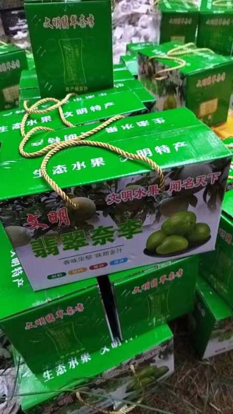 翡翠李