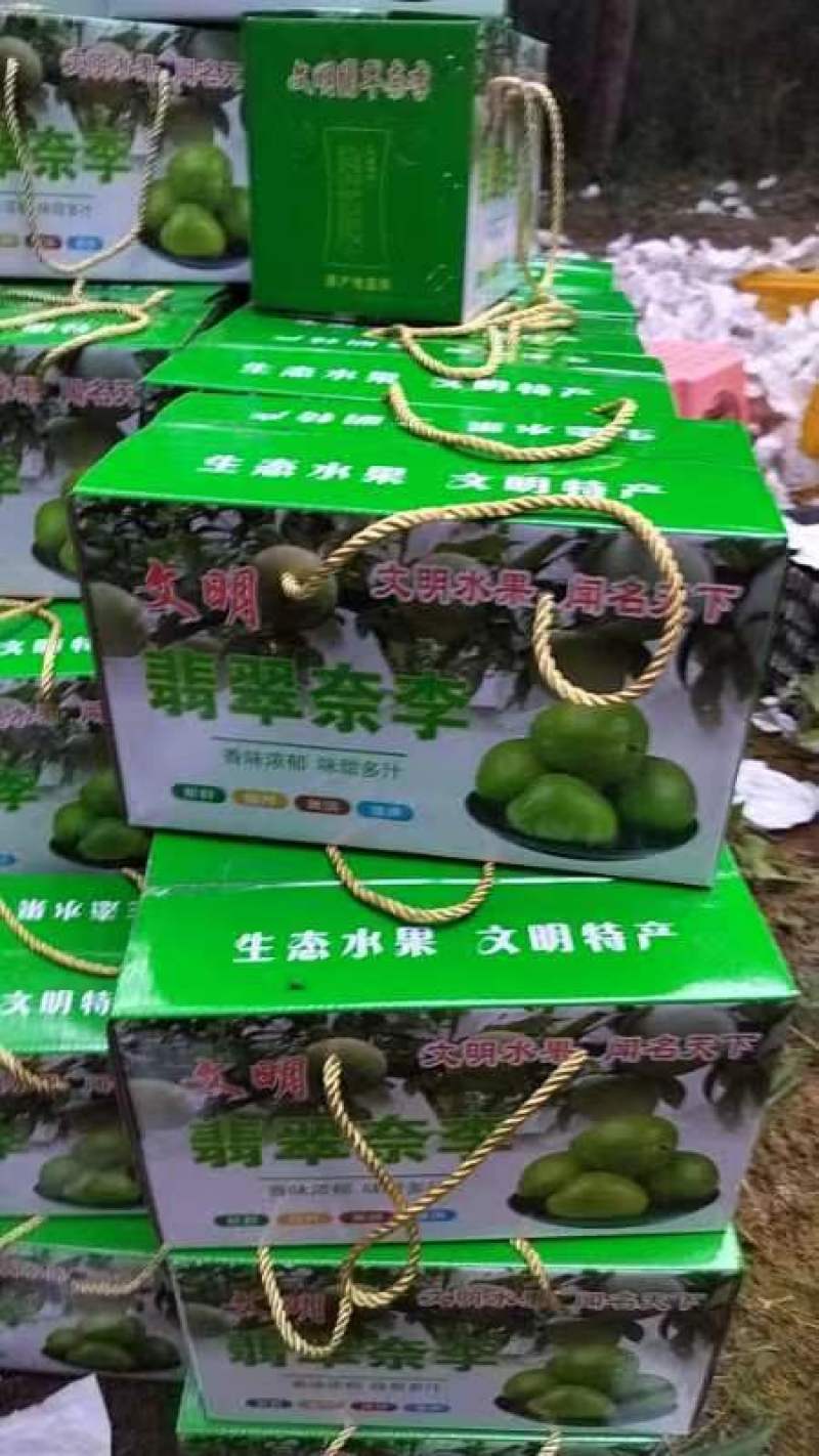 翡翠李