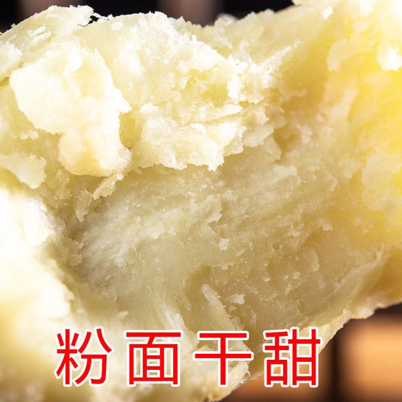【产地直发】白心红薯商薯产地一手货源全国发货
