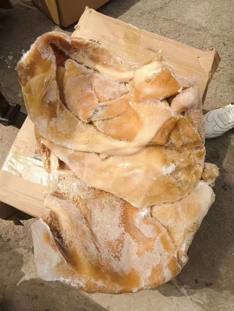 纯干生牛肚