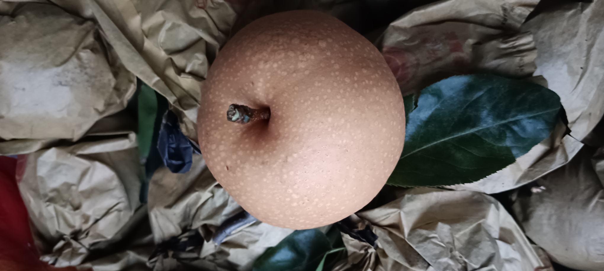 酸梨深加工产品展示