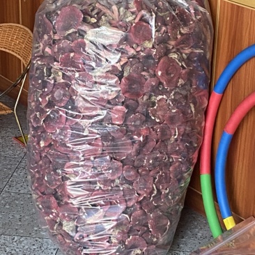 江西红菇，江西省赣州市龙南市九连山杨村红菇