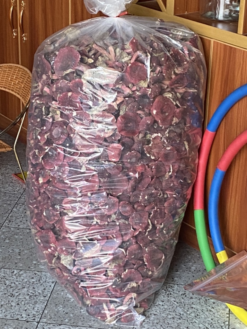 江西红菇，江西省赣州市龙南市九连山杨村红菇