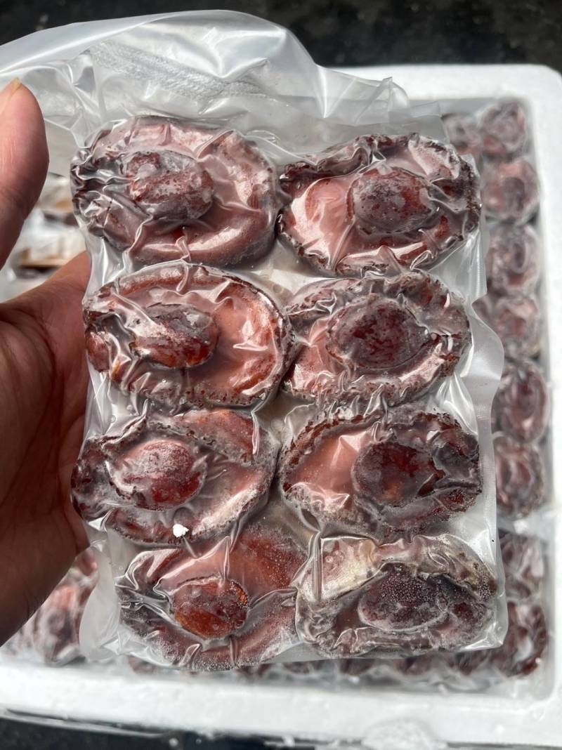 鲍鱼红烧鲍汁即食鲍鱼热菜预制菜加热即食一盒8只装