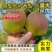 精品新梨七号香梨库尔勒香梨对接电商平台团购市场