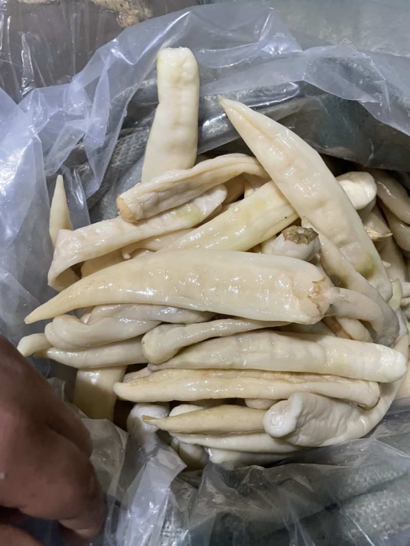卜辣椒