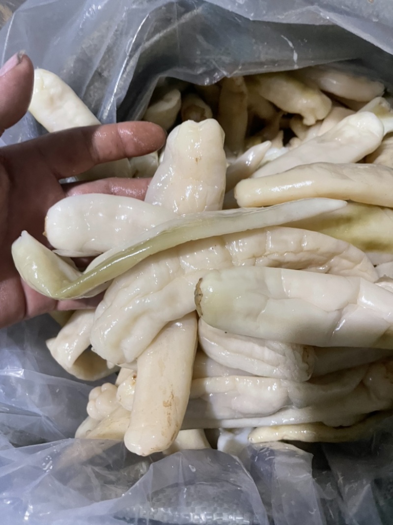 卜辣椒