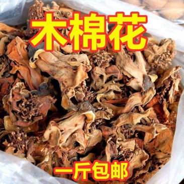 木棉花干花野生木棉花攀枝花干煲汤五花茶中药材广东
