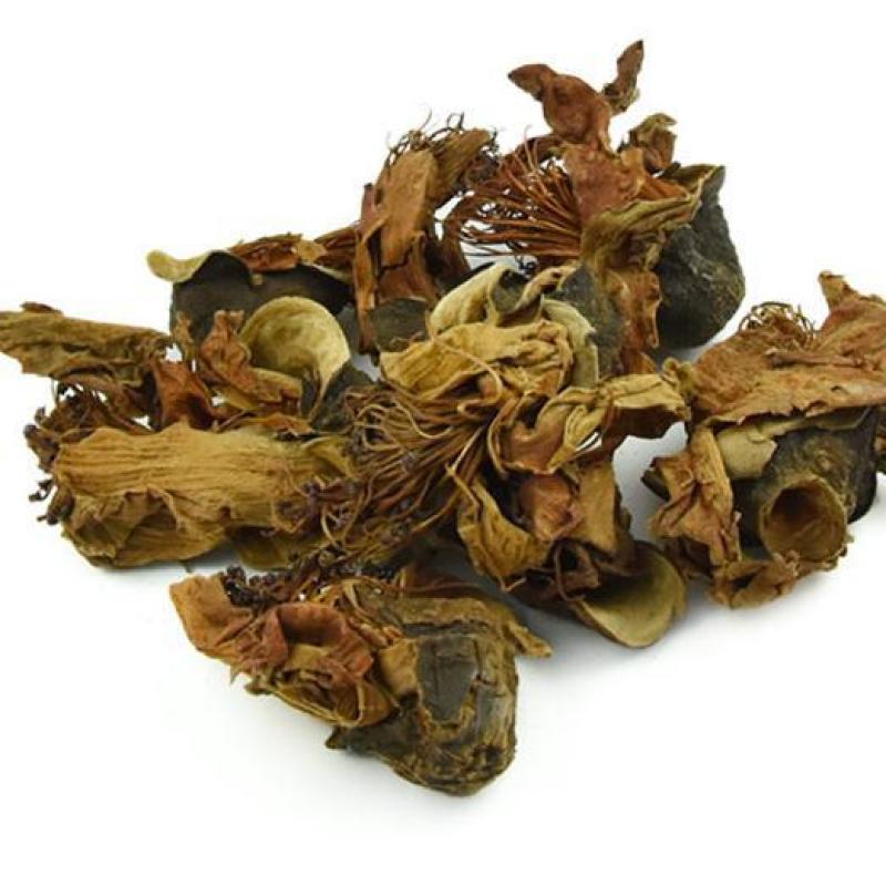 木棉花干花野生木棉花攀枝花干煲汤五花茶中药材广东