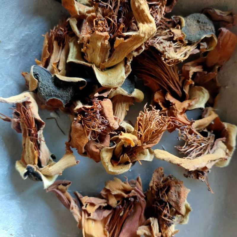 木棉花干花野生木棉花攀枝花干煲汤五花茶中药材广东