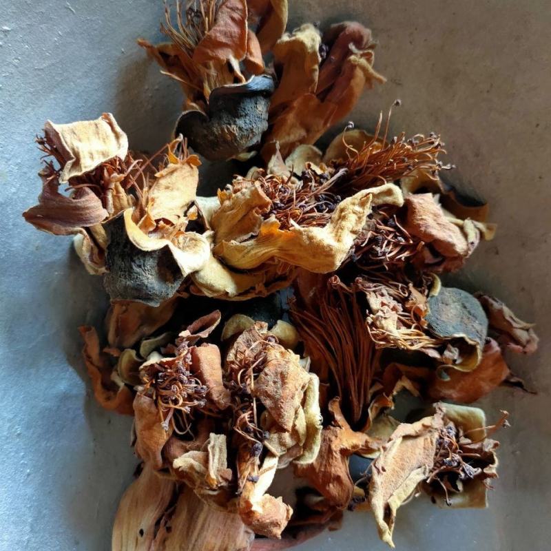 木棉花干花野生木棉花攀枝花干煲汤五花茶中药材广东