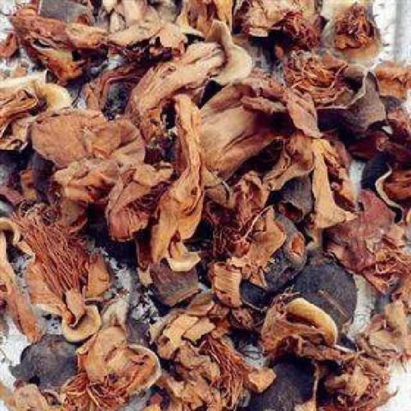 木棉花干花野生木棉花攀枝花干煲汤五花茶中药材广东