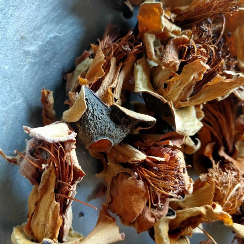 木棉花干花野生木棉花攀枝花干煲汤五花茶中药材广东