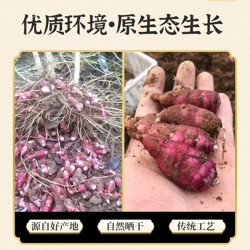 胰岛果茶现挖野生真果正品特级新鲜胰岛果鲜果药食同源红果菊