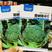 欧兰德种子撒利亚4号西兰花种子耐寒青花菜西蓝花种子颜色绿