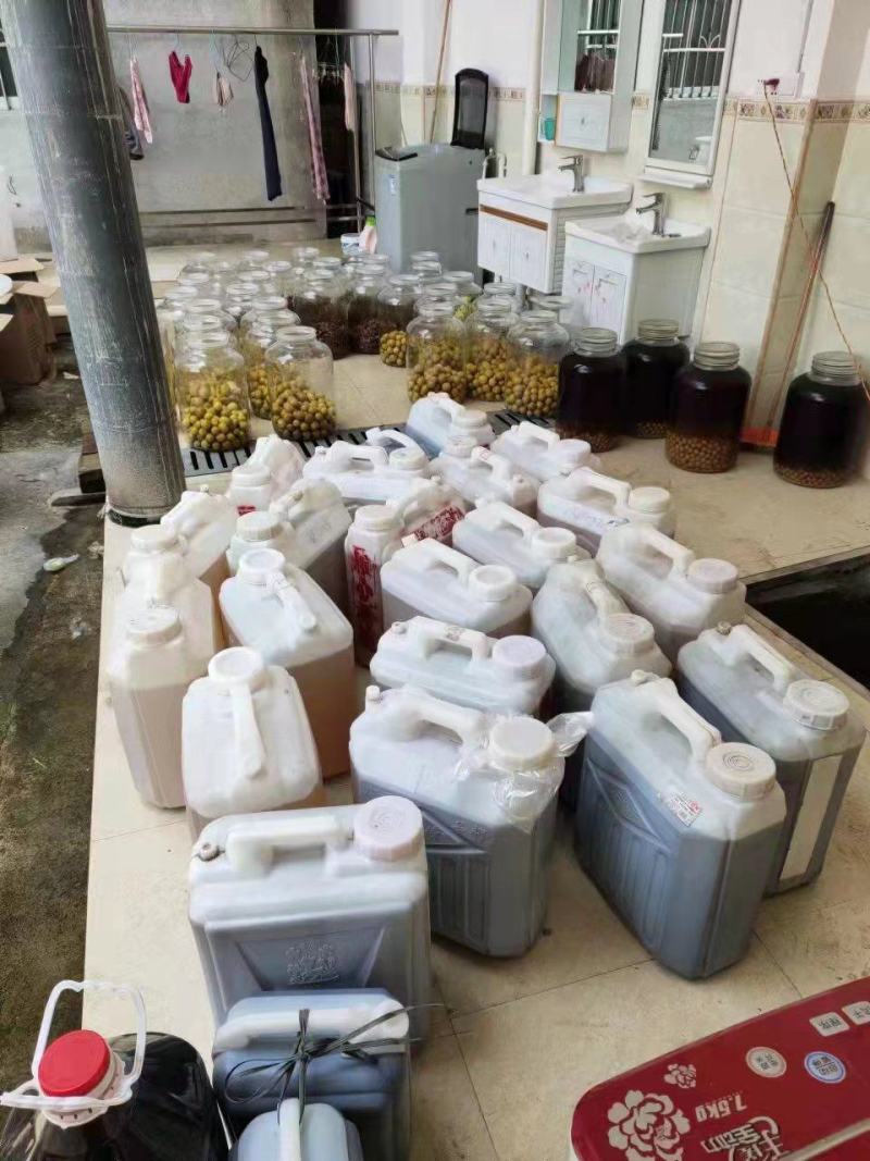 【青梅酒】果酒自酿自销味道上乘长期供货品质保证