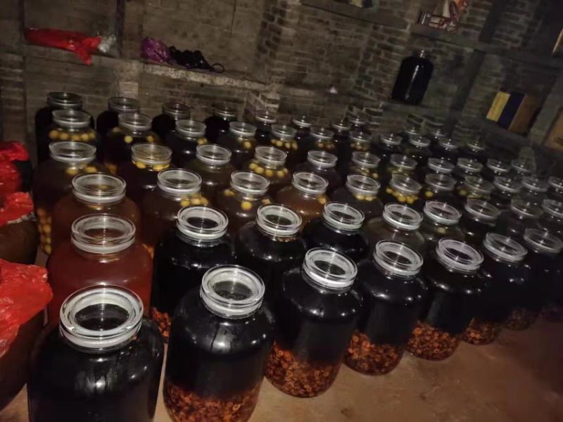 【青梅酒】果酒自酿自销味道上乘长期供货品质保证
