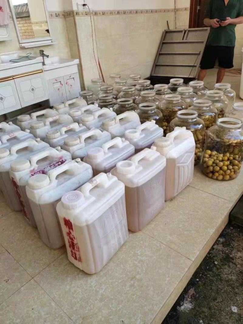 【青梅酒】果酒自酿自销味道上乘长期供货品质保证