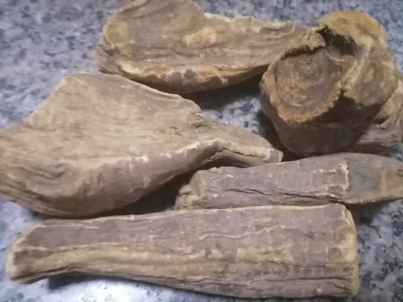 大黄干品，二十四小时发货。