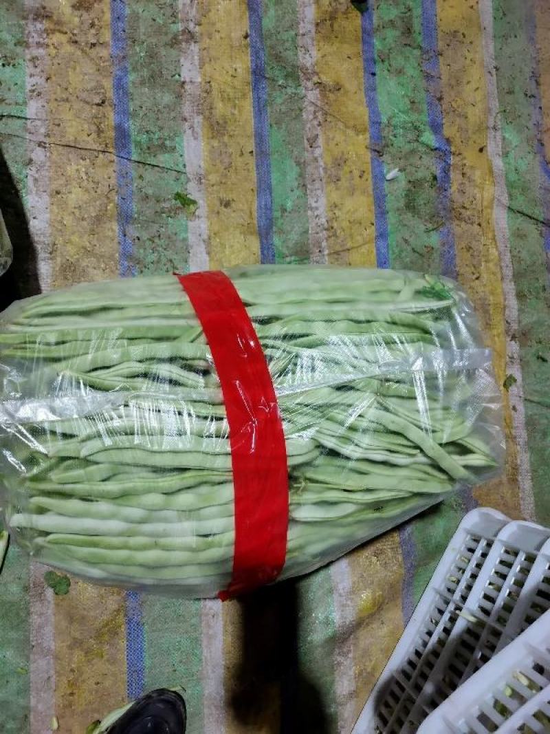 应县豆角，扁青芸豆大量上市，品种多支持代发视频看货