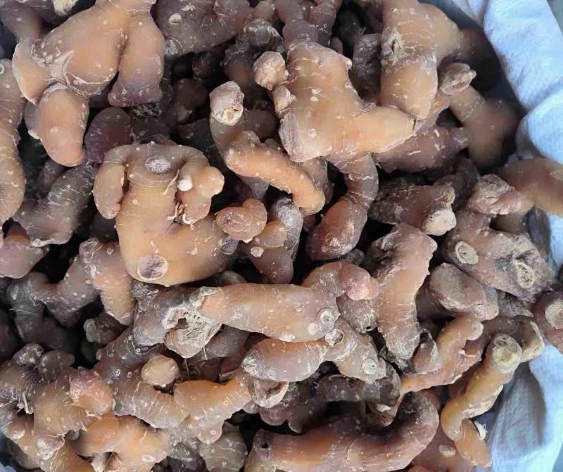 黄精黄精干货，黄精，姜型黄精条子，足干无硫