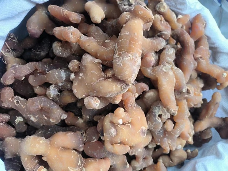 黄精黄精干货，黄精，姜型黄精条子，足干无硫