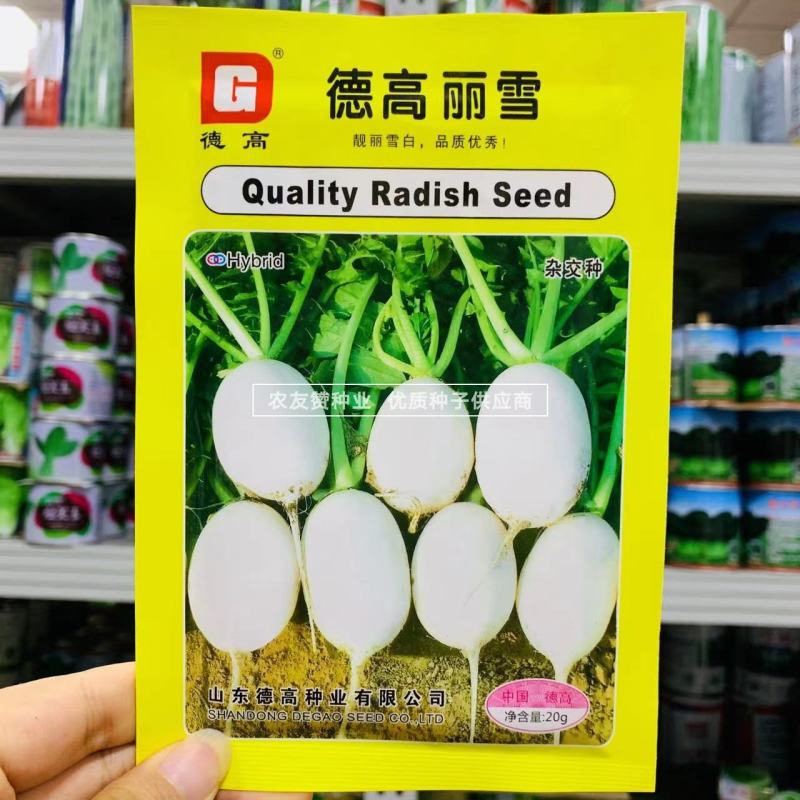 德高丽雪萝卜种子灯泡型白萝卜种子皮薄白皮白肉萝卜种子