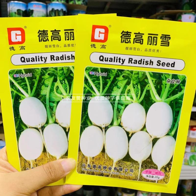 德高丽雪萝卜种子灯泡型白萝卜种子皮薄白皮白肉萝卜种子