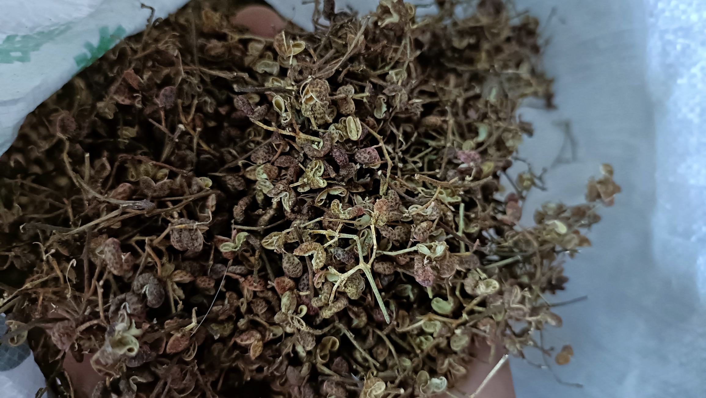 图片说明:高清胡椒粒特写,展示其自然纹理和颜色,用于说明胡椒的基本形态 胡椒粒特写展示