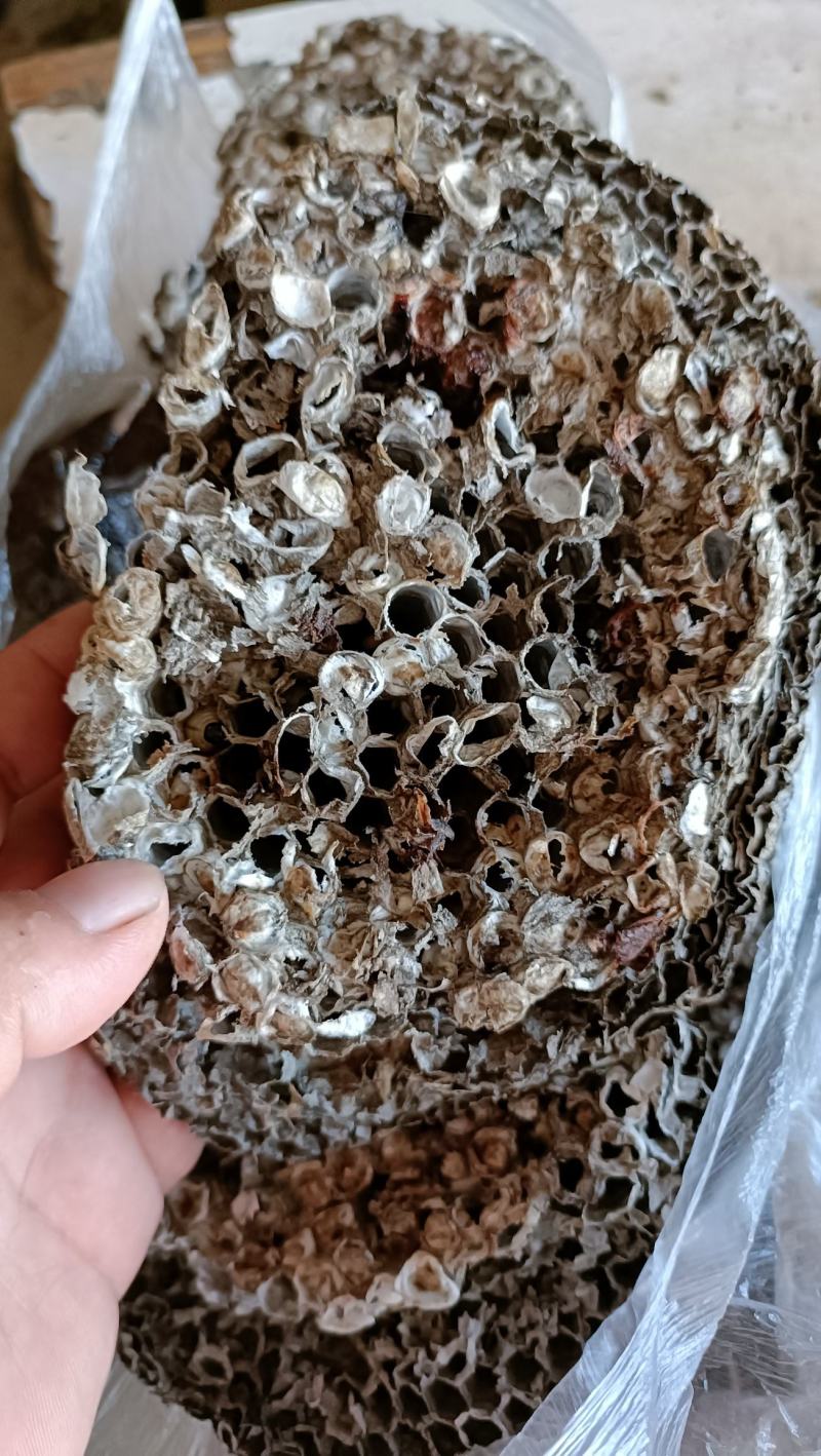 蜂房，马蜂窝