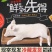 小乳猪/活猪现杀/新鲜速冻/整只白条/货源充足/资质齐全