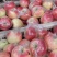 美八苹果🍎大量上市，批发零售电商均可