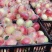美八苹果🍎大量上市，批发零售电商均可